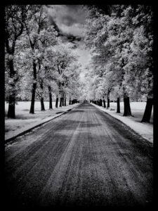 Country Road (1 of 1)